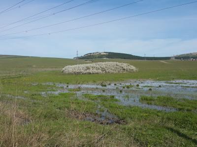 Прикрепленное изображение: 20220425_095359_1.jpg